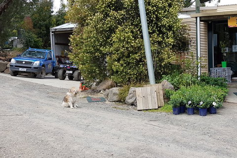 Yarra Valley Wineries And Rayners Orchard Tour From Melbourne - Sunshine Coast Tourism 8