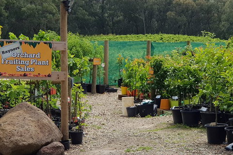 Yarra Valley Wineries And Rayners Orchard Tour From Melbourne - Sunshine Coast Tourism 0