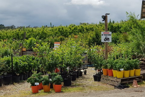 Yarra Valley Wineries And Rayners Orchard Tour From Melbourne - Sunshine Coast Tourism 22