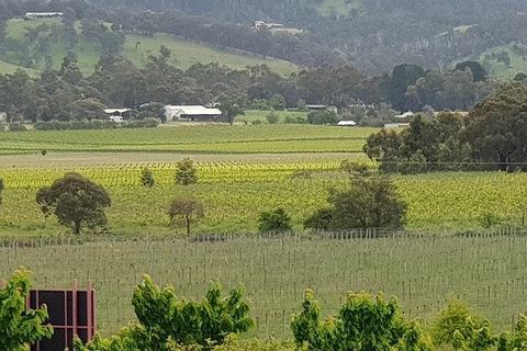Yarra Valley Wineries And Rayners Orchard Tour From Melbourne - Sunshine Coast Tourism 2