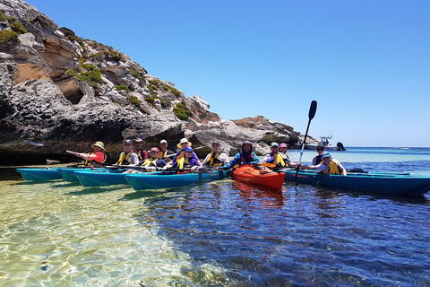 Rottnest Glass Bottom Kayaking Tour - Sunshine Coast Tourism 0