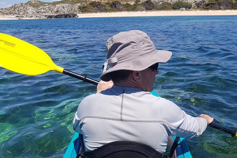 Rottnest Glass Bottom Kayaking Tour - Sunshine Coast Tourism 1