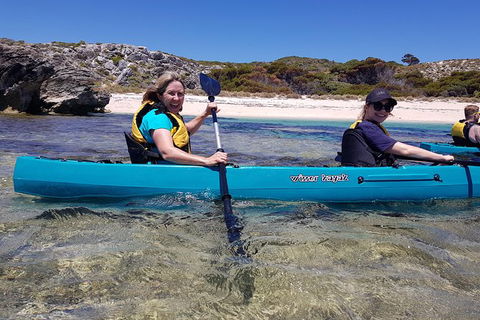 Rottnest Glass Bottom Kayaking Tour - Sunshine Coast Tourism 2