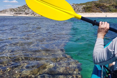 Rottnest Glass Bottom Kayaking Tour - Sunshine Coast Tourism 3