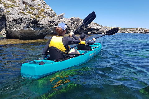 Rottnest Glass Bottom Kayaking Tour - Sunshine Coast Tourism 4