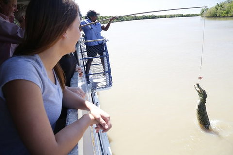 Darwin City Sights And Jumping Crocodile Cruise - Sunshine Coast Tourism 0