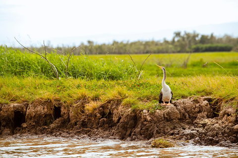 Darwin City Sights And Jumping Crocodile Cruise - Sunshine Coast Tourism 5