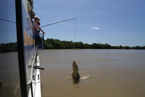 Darwin City Sights And Jumping Crocodile Cruise - Sunshine Coast Tourism 2