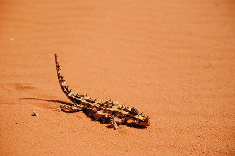 Kitesurfing Lesson - Holiday Sunshine Coast 4