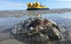 Prehistoric Bubbles And Nibbles Hovercraft Tour - thumb 2