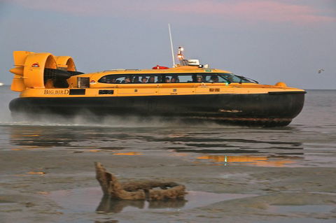 Prehistoric Bubbles And Nibbles Hovercraft Tour - Sunshine Coast Tourism 4