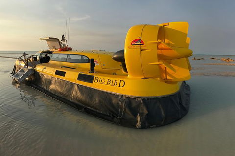 Prehistoric Bubbles And Nibbles Hovercraft Tour - Sunshine Coast Tourism 0
