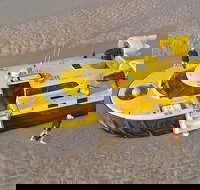 Prehistoric Cocktail Breakfast Hovercraft Tour - Sunshine Coast Tourism