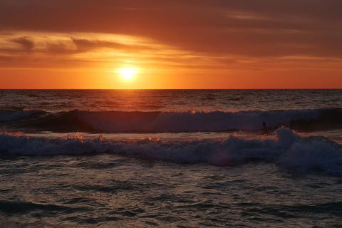 Australian Animals, Seascape And Sunset Photography Tour - Sunshine Coast Tourism 0