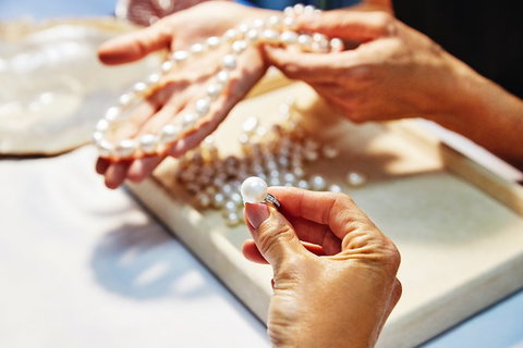 Cygnet Bay Explorer - Sunshine Coast Tourism 7