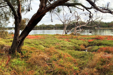 The Fully Local (Private) Tour - Holiday Sunshine Coast 21