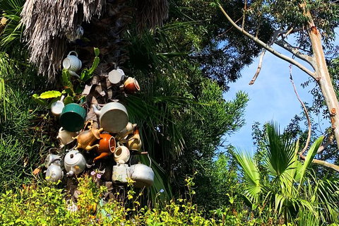 The Fully Local (Private) Tour - Holiday Sunshine Coast 1