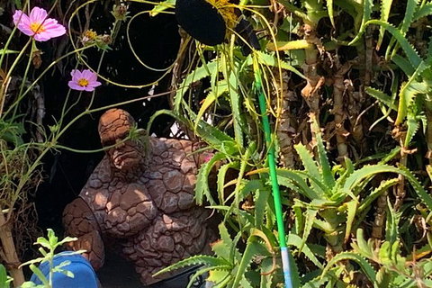 The Fully Local (Private) Tour - Holiday Sunshine Coast 17