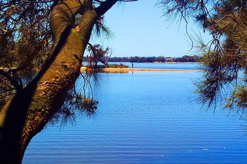 The Fully Local (Private) Tour - Holiday Sunshine Coast 14