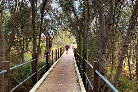 The Fully Local (Private) Tour - Holiday Sunshine Coast 19