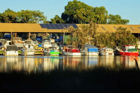 The Fully Local (Private) Tour - Holiday Sunshine Coast 15