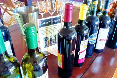 The Fully Local (Private) Tour - Holiday Sunshine Coast 22