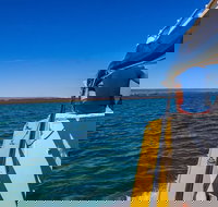 Ningaloo Immersion Private Charter - Sunshine Coast Tourism