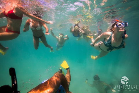 Ningaloo Immersion Private Charter - Sunshine Coast Tourism 8
