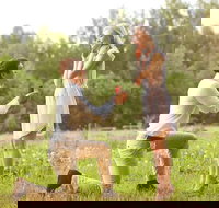 Romance Cruise  scenic Tour  beer tasting  3 course lunch  hamper - Sunshine Coast Tourism