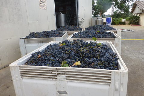 A Taste Of Margaret River Luxury Wine Tour - Sunshine Coast Tourism 3