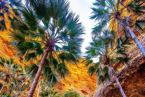 Bungles Day Trek Extended (with Echidna Chasm) - Sunshine Coast Tourism 1