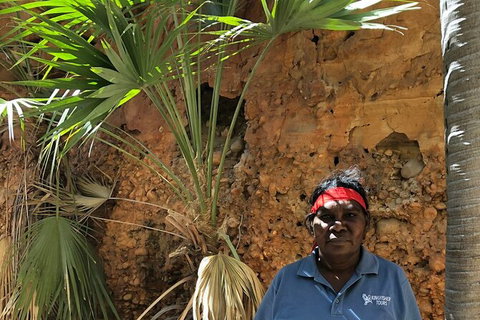 Bungles Day Trek Extended (with Echidna Chasm) - Sunshine Coast Tourism 2