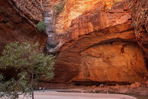 Bungles Day Trek Extended (with Echidna Chasm) - Sunshine Coast Tourism 0