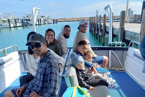 Whale Watching Boat Tour In Geraldton - Sunshine Coast Tourism 1