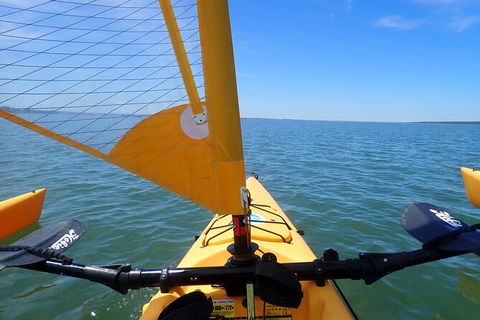 Sailing Kayak Adventure Through The Peel Harvey Estuary - Sunshine Coast Tourism 2