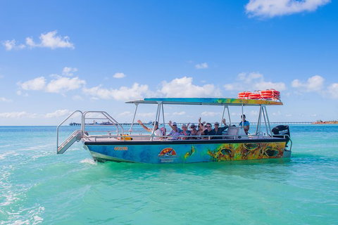 The Island Sandbar Experience - Sunshine Coast Tourism 5