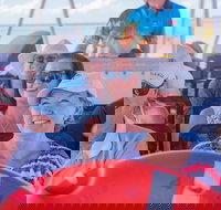 The Island Sandbar Experience - Sunshine Coast Tourism