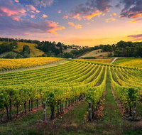 Swan Valley Sunset Wine Tour - Premium Small Group Tour - Sunshine Coast Tourism