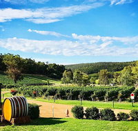 Bickley Valley Wine  Cider Tour - Premium Small Group Tour - Sunshine Coast Tourism