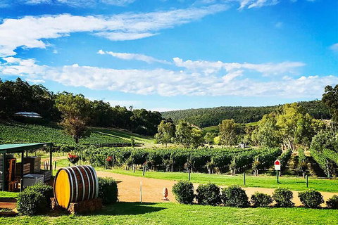 Bickley Valley Wine & Cider Tour - Premium Small Group Tour - Sunshine Coast Tourism 0
