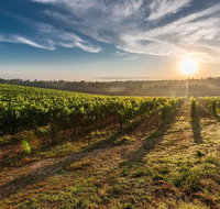 Perth to Margaret River Wine Tour - 2 Day Premium Boutique Wine Tour Experience - Sunshine Coast Tourism