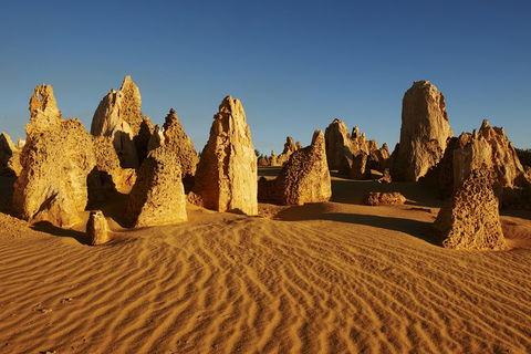 Pinnacles Desert Private Tour - Holiday Sunshine Coast 0