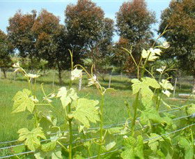 Pirron Yallock VIC Holiday Sunshine Coast