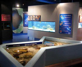 Marine And Freshwater Discovery Centre - Holiday Sunshine Coast 0