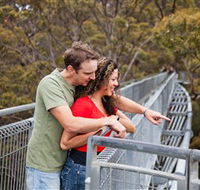 Valley of the Giants Tree Top Walk