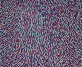 The Gate Gallery - Wollombi - Sunshine Coast Tourism 0