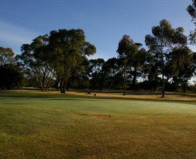 Winchelsea Golf Club - Holiday Sunshine Coast 0