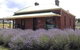 Lavender House In Railway Park - thumb 0