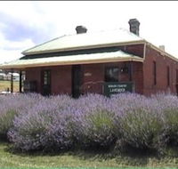 Lavender House in Railway Park - Sunshine Coast Tourism