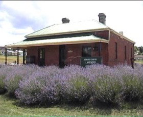 Lavender House In Railway Park - Sunshine Coast Tourism 0